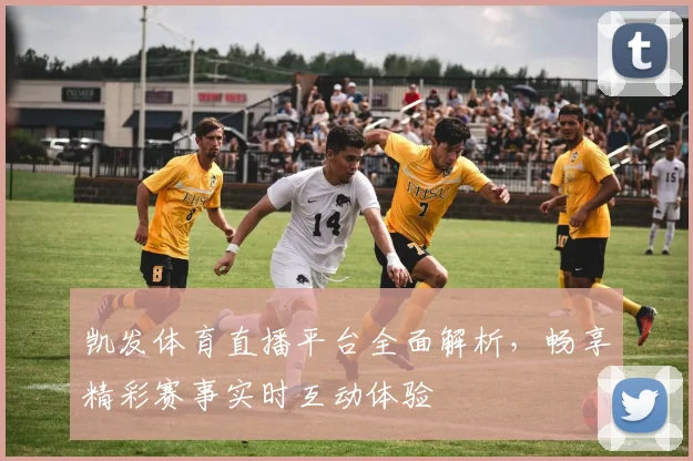凯发体育直播平台全面解析，畅享精彩赛事实时互动体验