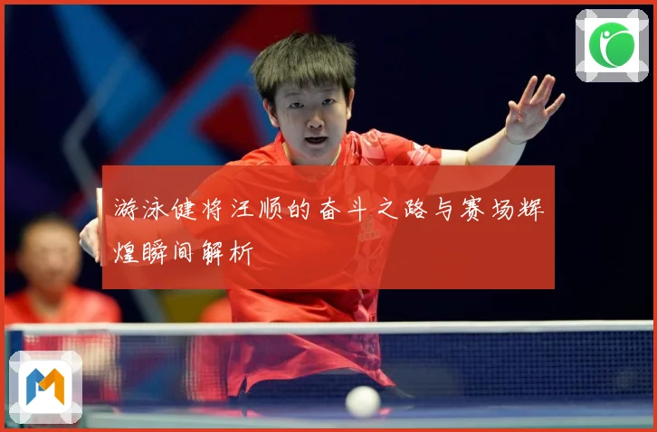 游泳健将汪顺的奋斗之路与赛场辉煌瞬间解析
