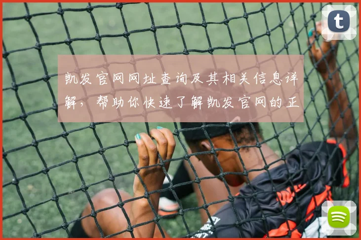 凯发官网网址查询及其相关信息详解，帮助你快速了解凯发官网的正确入口