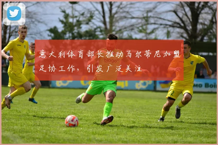 意大利体育部长推动马尔蒂尼加盟足协工作，引发广泛关注