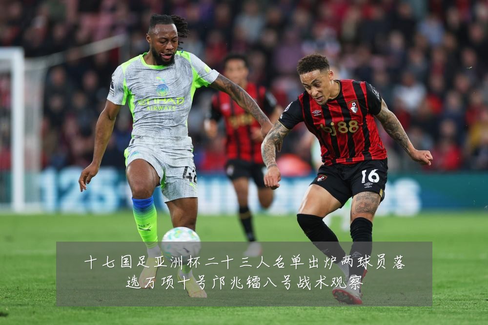 十七国足亚洲杯二十三人名单出炉两球员落选万项十号邝兆镭八号战术观察