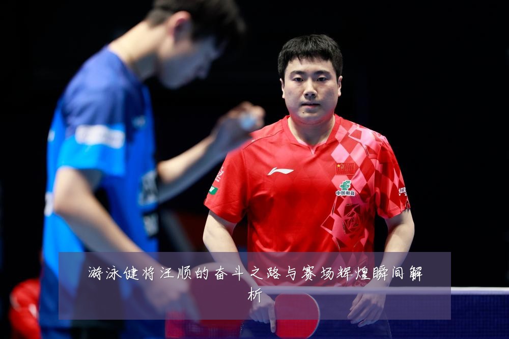 游泳健将汪顺的奋斗之路与赛场辉煌瞬间解析