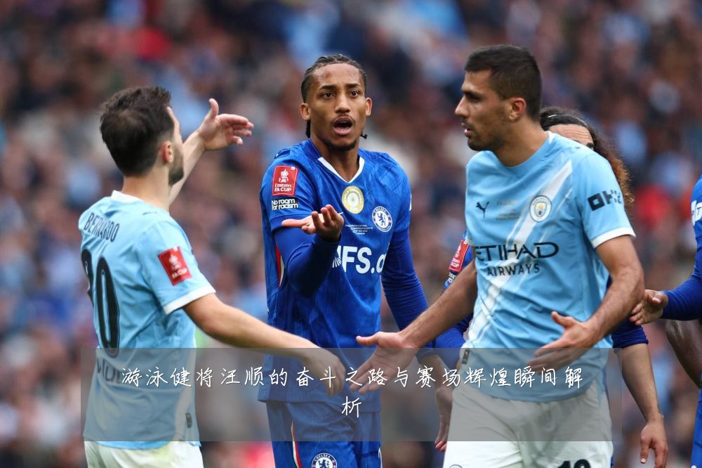 游泳健将汪顺的奋斗之路与赛场辉煌瞬间解析